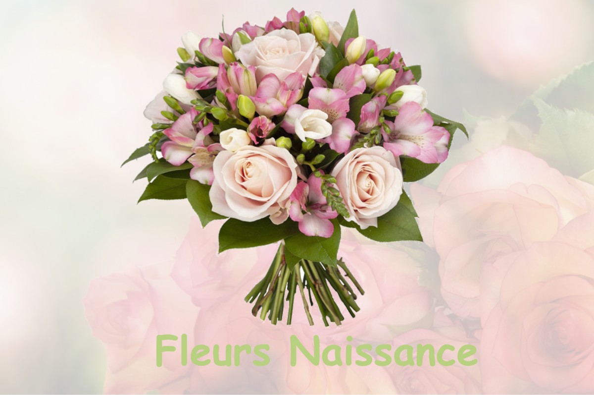 fleurs naissance LE-MESNIL-LIEUBRAY