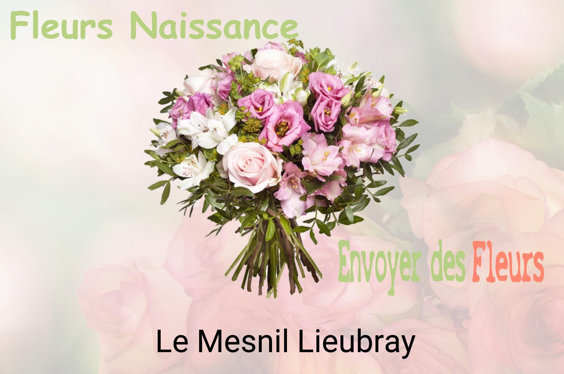 Bouquet de fleurs de naissance livré à Le Mesnil-Lieubray